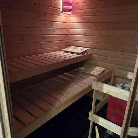 Apartment Brettmuehle, Im Erzgebirge Mit Einzigartigem Wellness-badezimmer, Sauna Und Kamin *