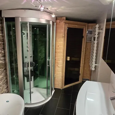 Brettmuehle, Im Erzgebirge Mit Einzigartigem Wellness-badezimmer, Sauna Und Kamin Apartment