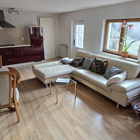 Brettmuehle, Im Erzgebirge Mit Einzigartigem Wellness-badezimmer, Sauna Und Kamin *
