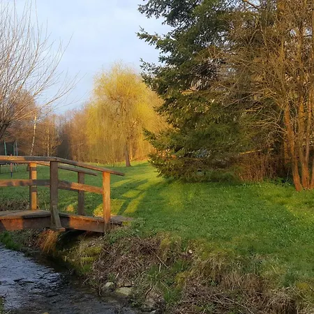 Brettmuehle, Im Erzgebirge Mit Einzigartigem Wellness-badezimmer, Sauna Und Kamin Apartment *