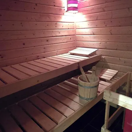 Brettmuehle, Im Erzgebirge Mit Einzigartigem Wellness-badezimmer, Sauna Und Kamin Apartment