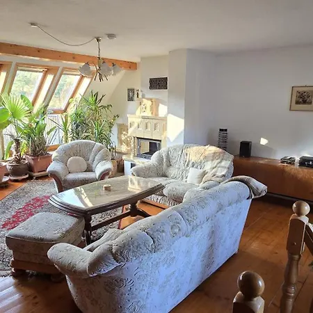 Brettmuehle, Im Erzgebirge Mit Einzigartigem Wellness-badezimmer, Sauna Und Kamin Apartment