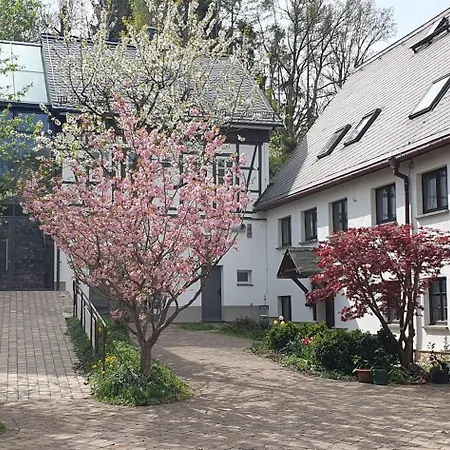 Brettmuehle, Im Erzgebirge Mit Einzigartigem Wellness-badezimmer, Sauna Und Kamin *