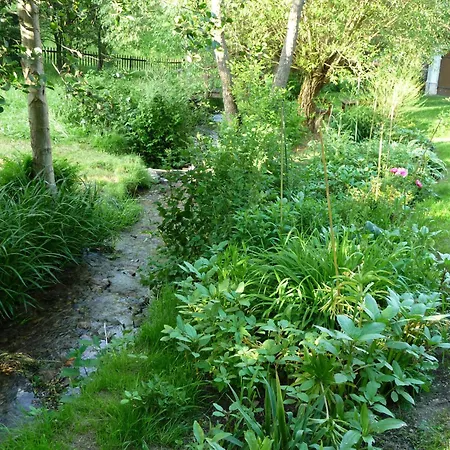 Brettmuehle, Im Erzgebirge Mit Einzigartigem Wellness-badezimmer, Sauna Und Kamin Apartment Dittmannsdorf (Gornau)