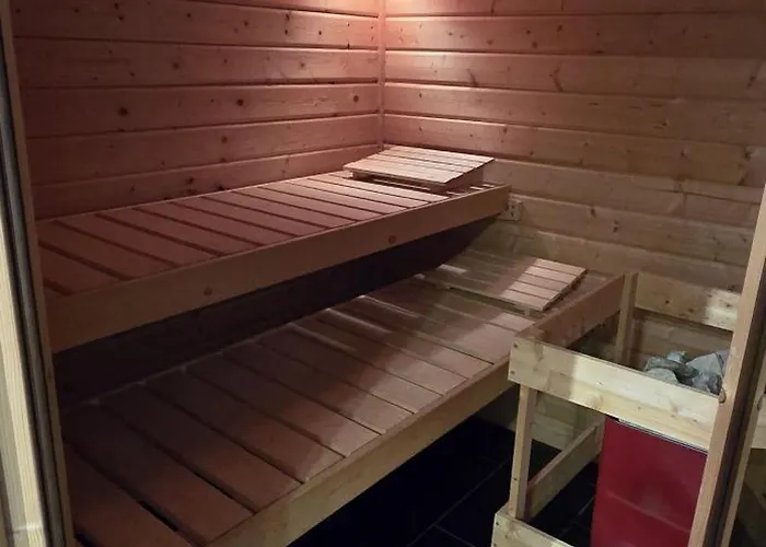 Apartment Brettmuehle, Im Erzgebirge Mit Einzigartigem Wellness-badezimmer, Sauna Und Kamin *