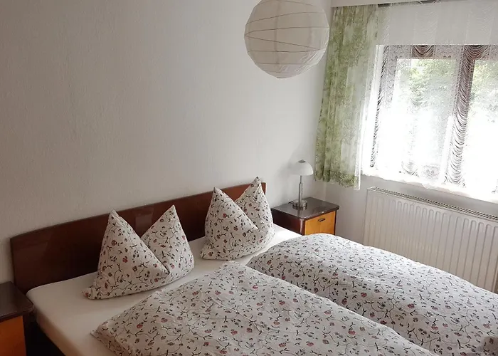 Apartment Brettmuehle, Im Erzgebirge Mit Einzigartigem Wellness-badezimmer, Sauna Und Kamin Dittmannsdorf (Gornau)
