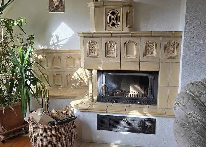 Brettmuehle, Im Erzgebirge Mit Einzigartigem Wellness-badezimmer, Sauna Und Kamin Apartment *