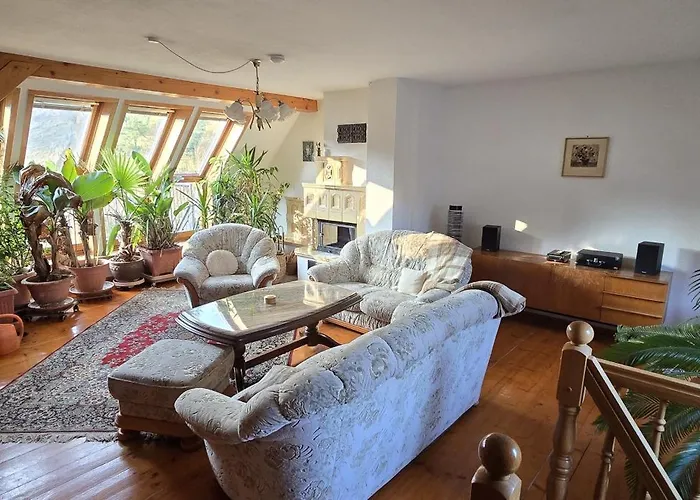 Brettmuehle, Im Erzgebirge Mit Einzigartigem Wellness-badezimmer, Sauna Und Kamin Apartment