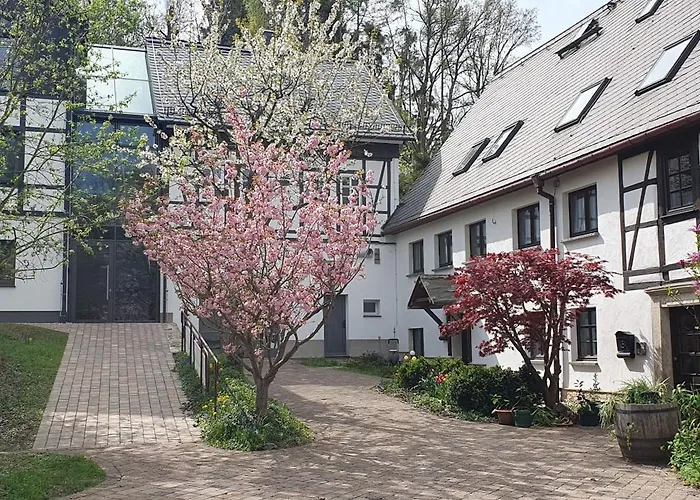Brettmuehle, Im Erzgebirge Mit Einzigartigem Wellness-badezimmer, Sauna Und Kamin *